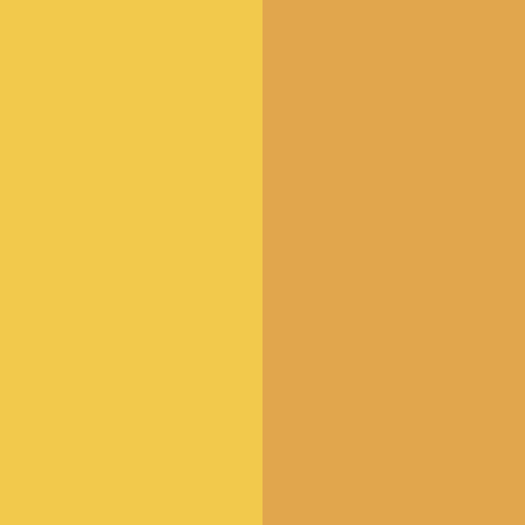 Download golden vitality color palette PNG image (square)