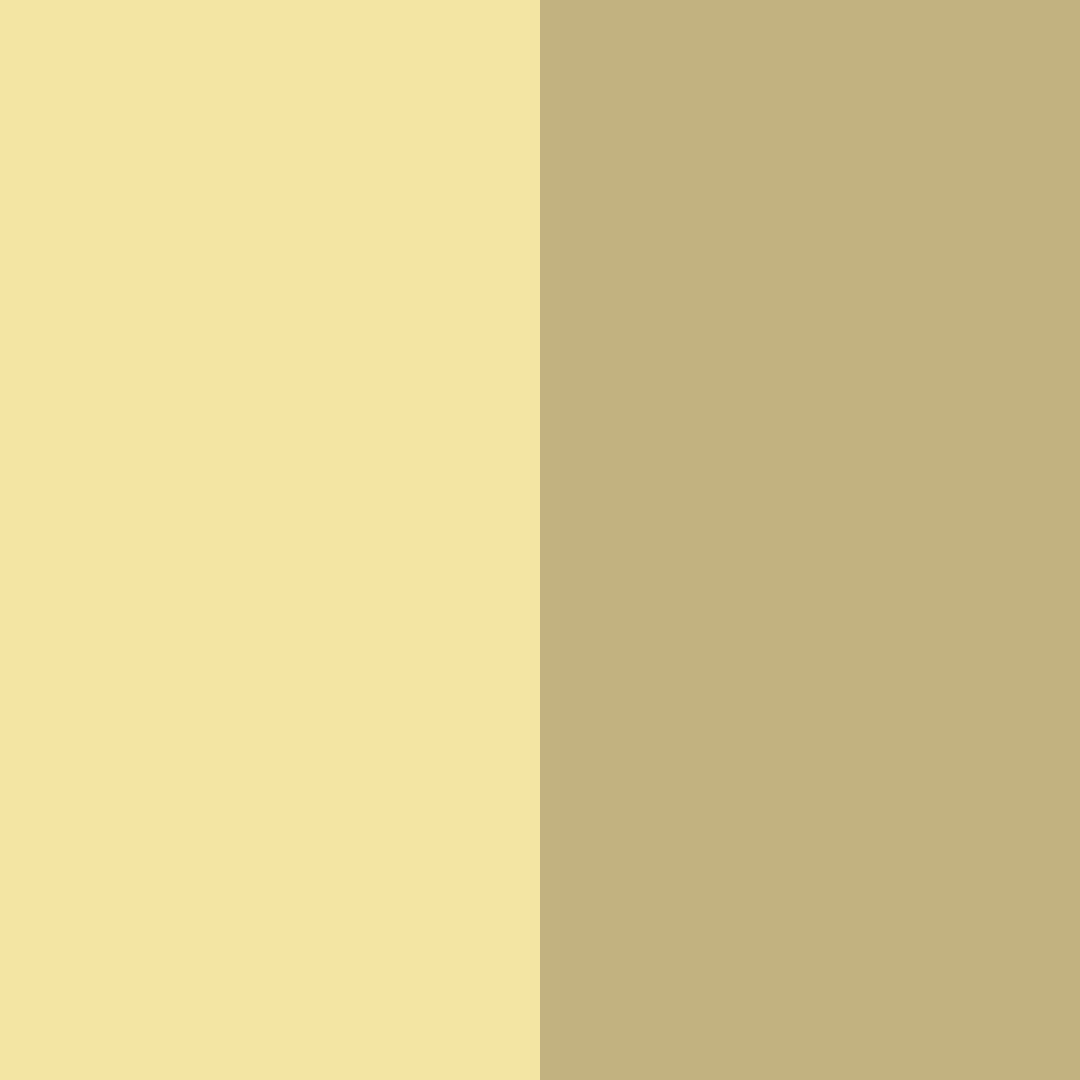 Download golden serenity color palette PNG image (square)