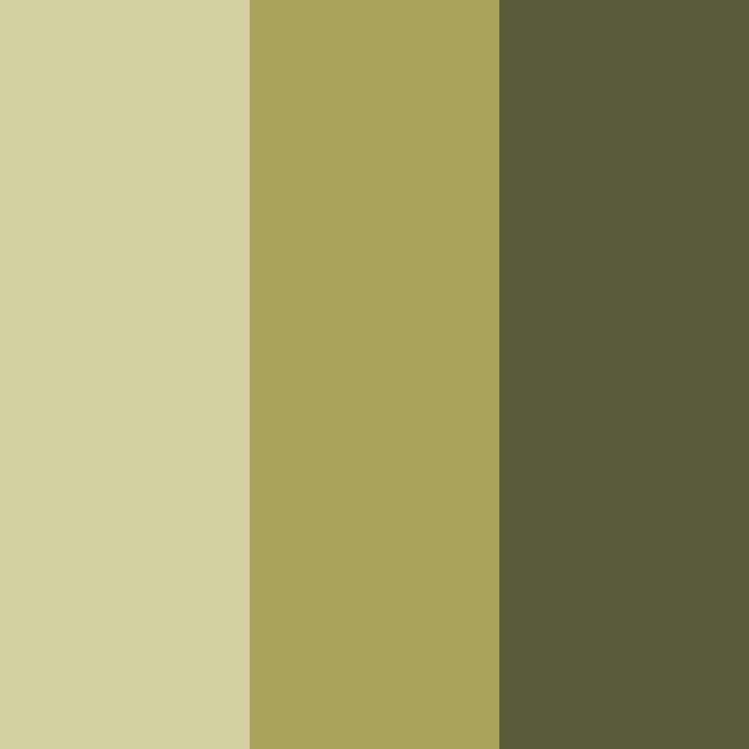 Download olive shades color palette PNG image (square)