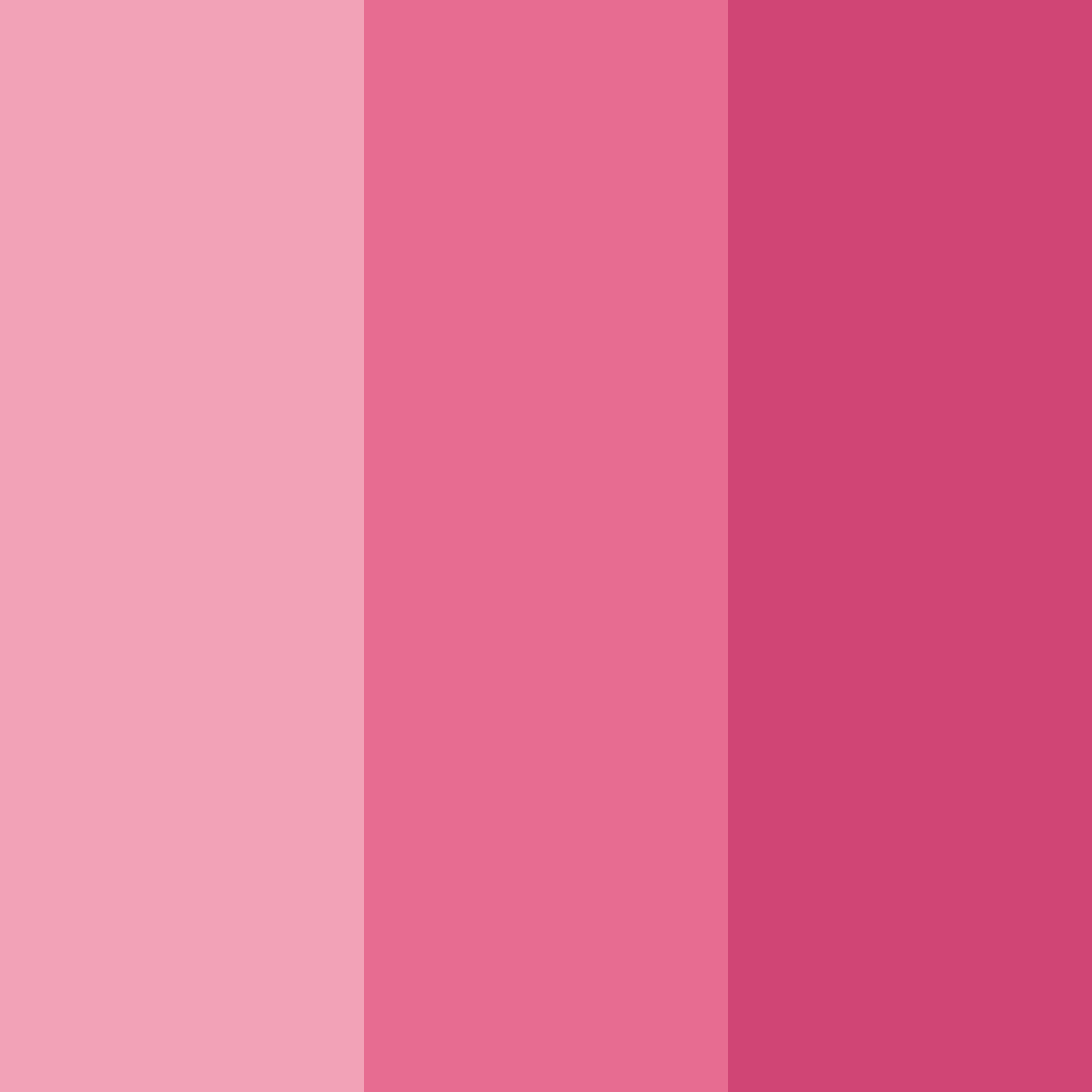 Download pink pompom color palette PNG image (square)