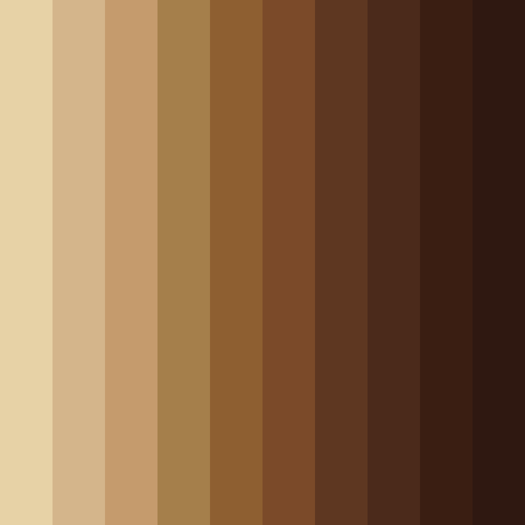 Download timber tones color palette PNG image (square)