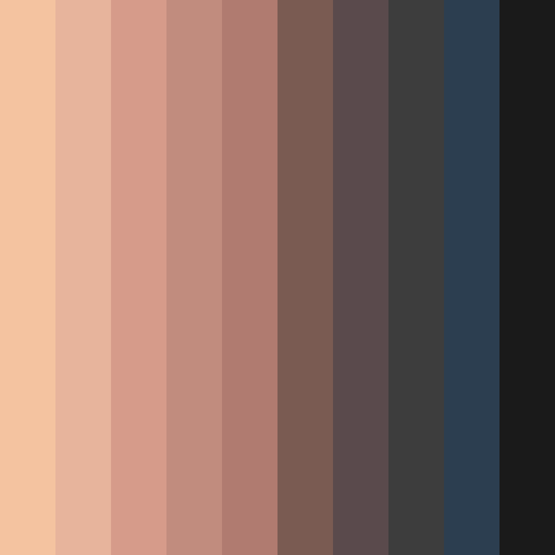 Download whiskered warmth color palette PNG image (square)