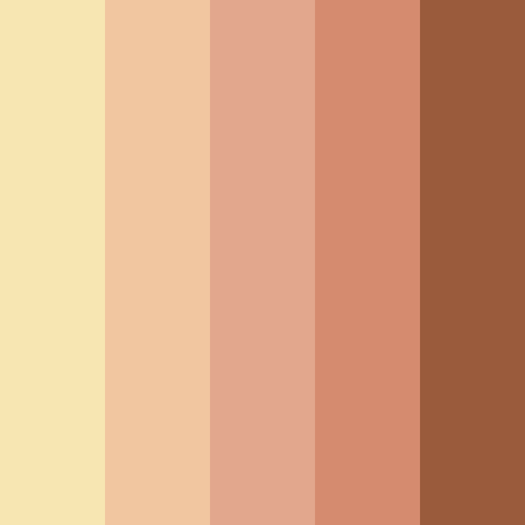 Download warm embrace of order color palette PNG image (square)