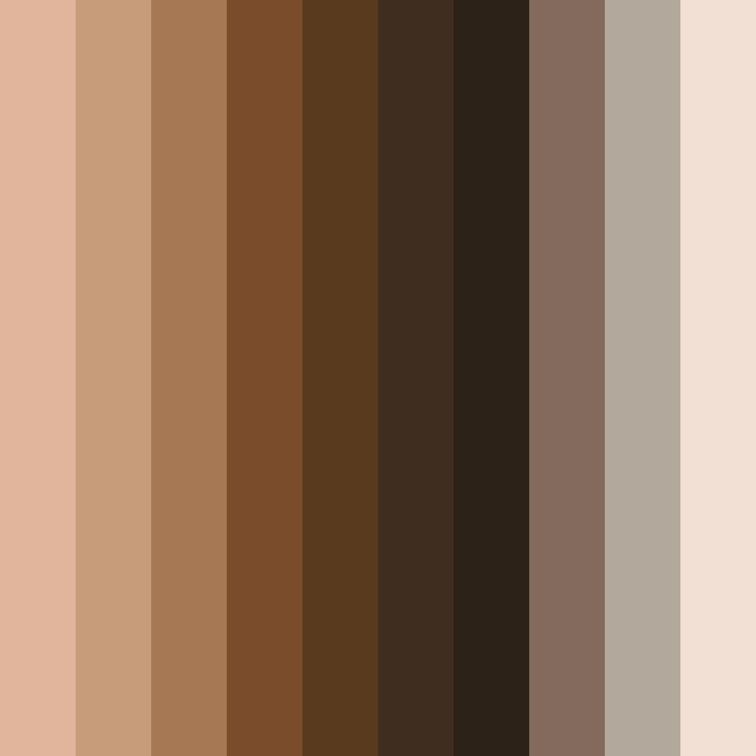 Download brown eyeshadow color palette PNG image (square)