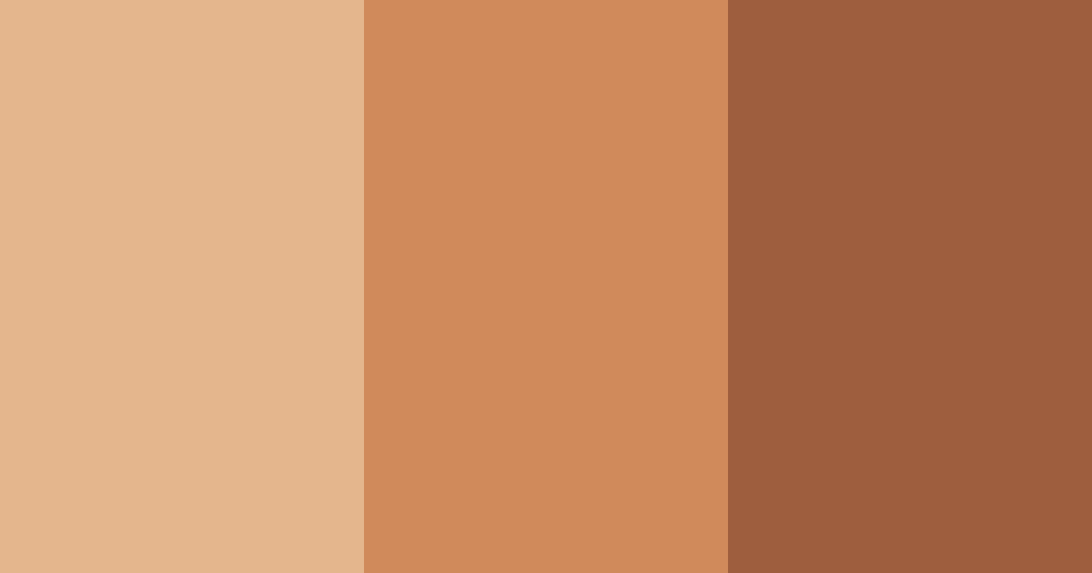 Download terracotta sunset color palette PNG image (landscape)