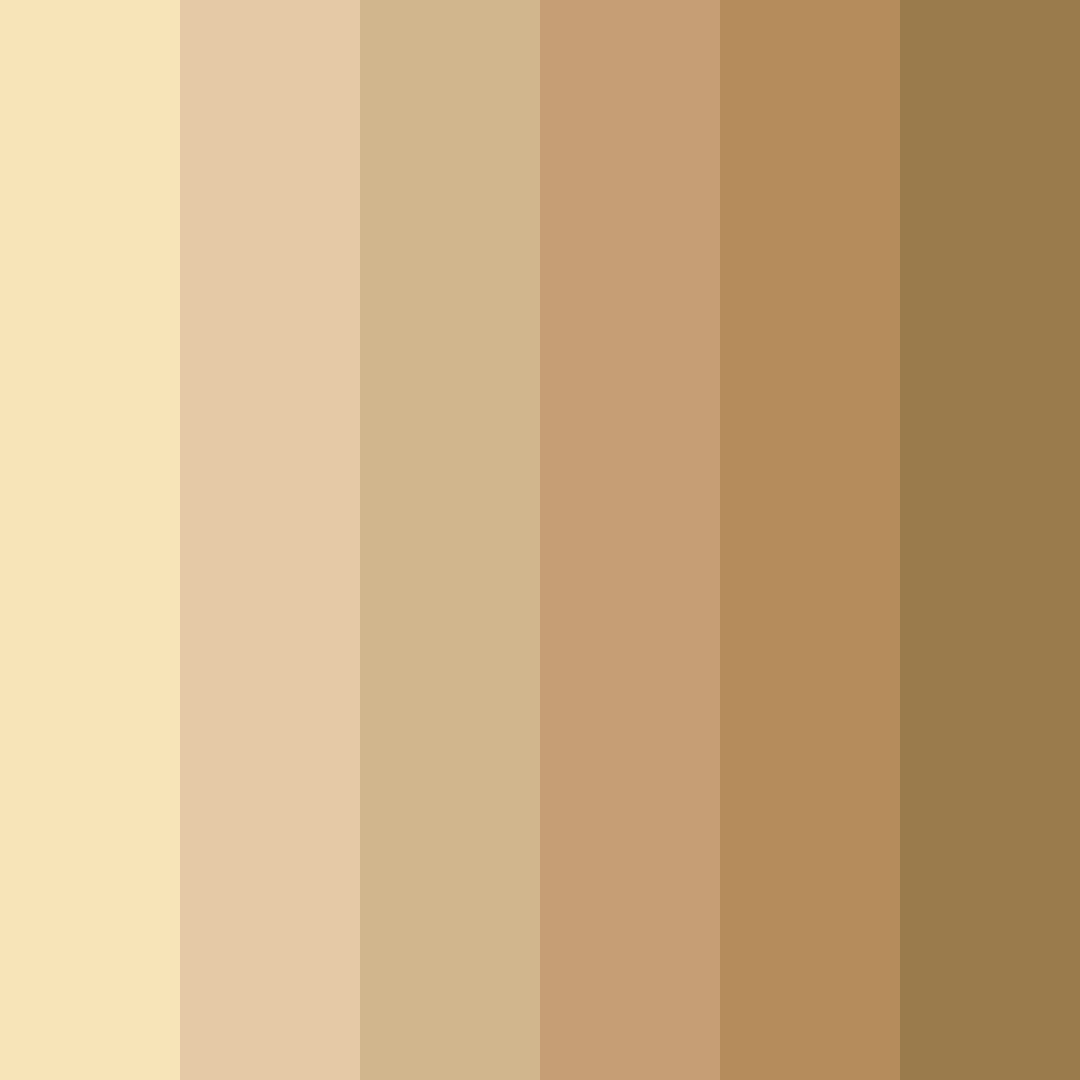 Download champagne elegance color palette PNG image (square)