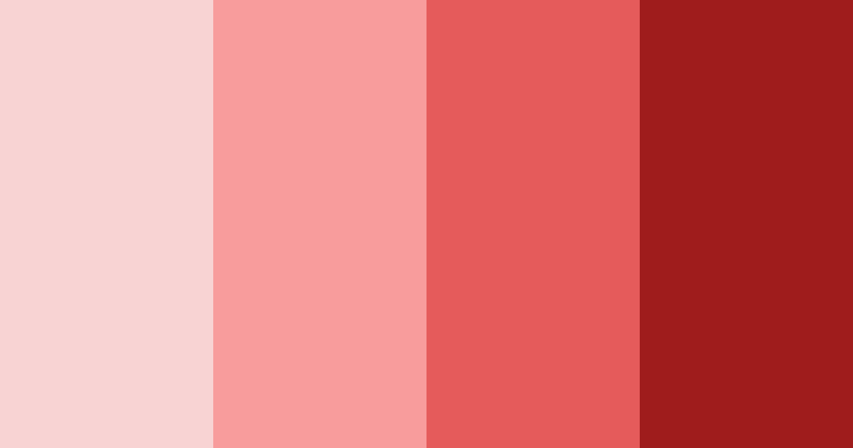 Download deep red shades color palette PNG image (landscape)
