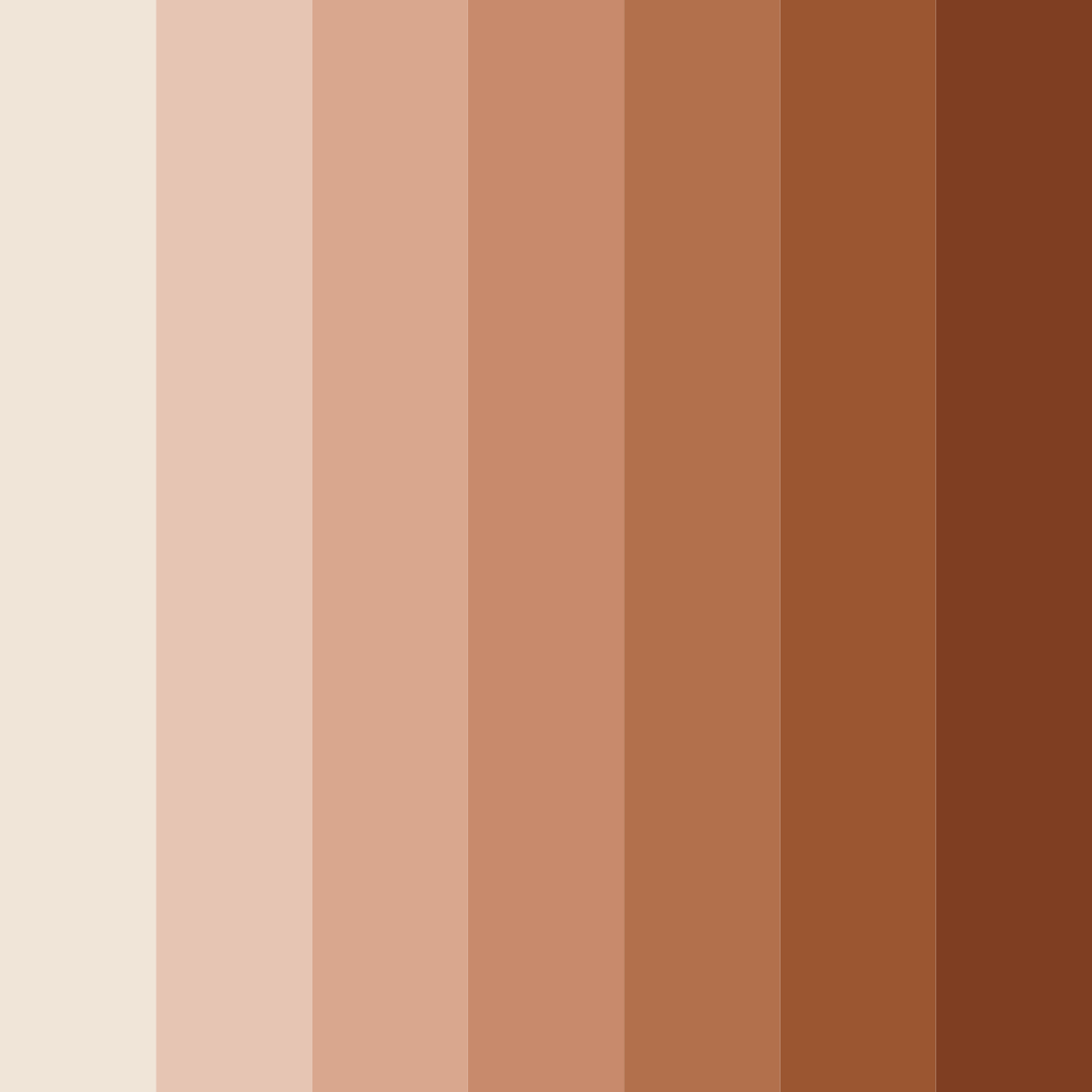 Download shades of brown color palette PNG image (square)