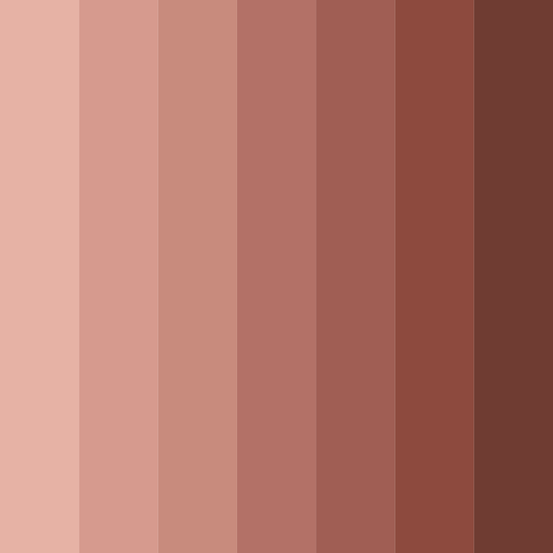 Download sunset earthen tones color palette PNG image (square)