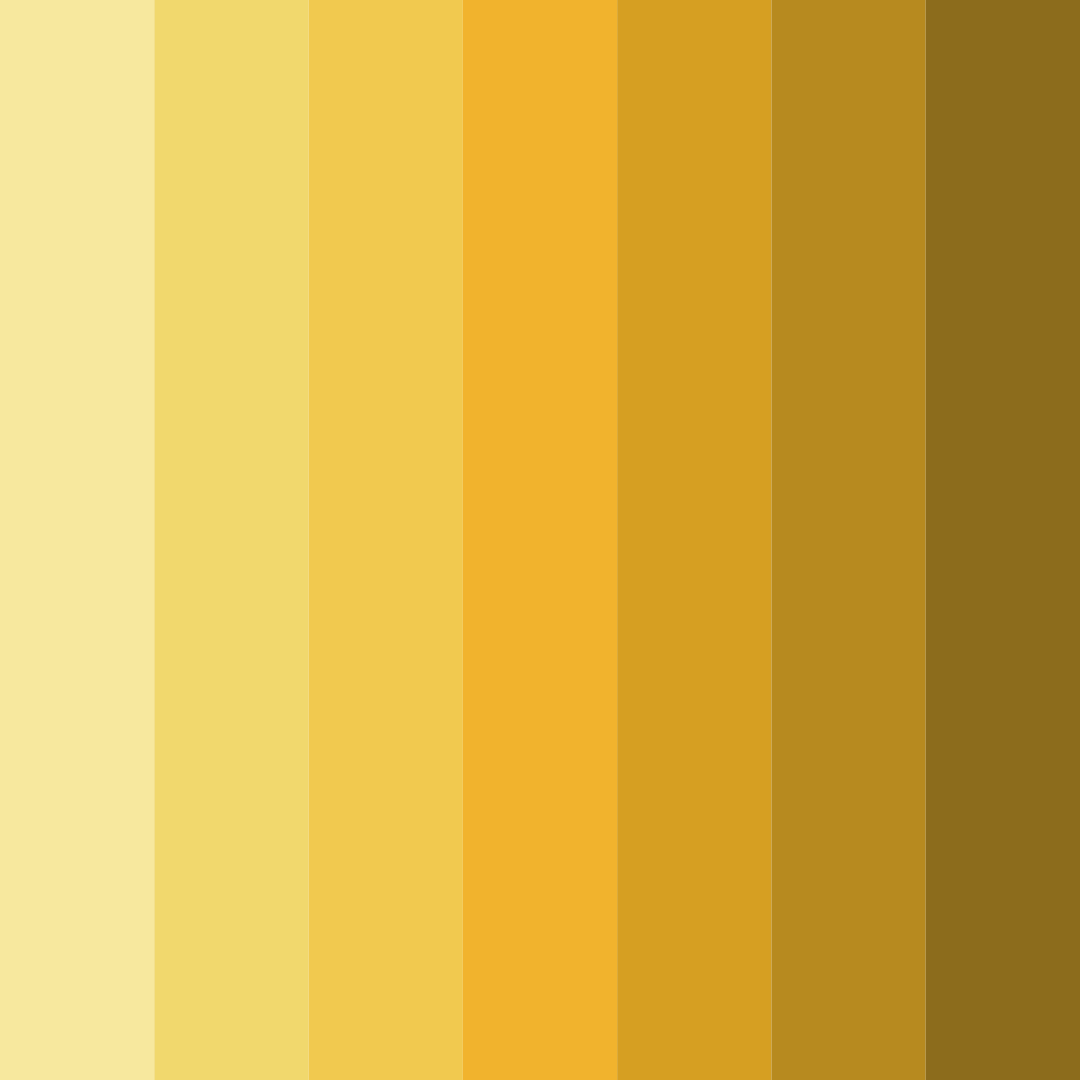 Download yellow cat color palette PNG image (square)