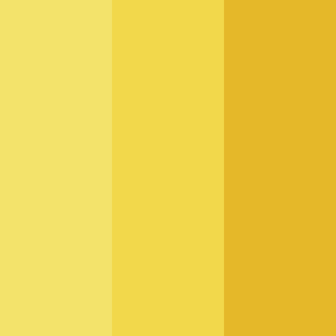 Download bright yellow cat color palette PNG image (square)
