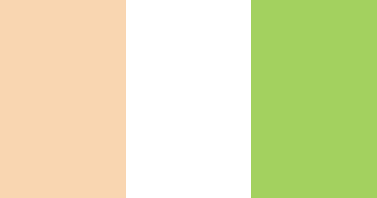 Download peachy citrus bliss color palette PNG image (landscape)