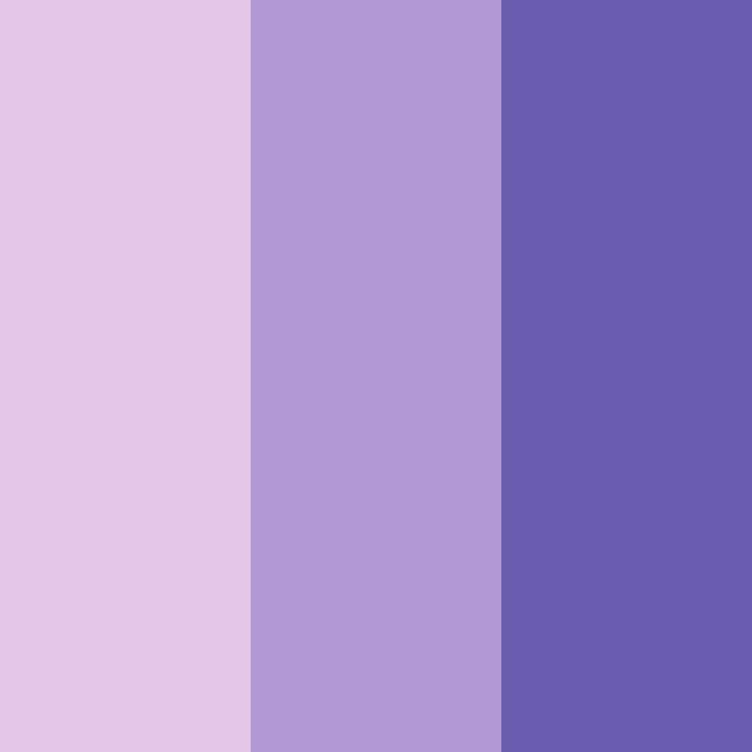 Download mystic orchid dreams color palette PNG image (square)