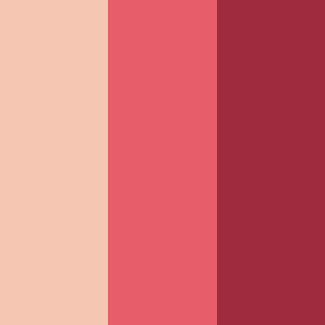 Download red spices color palette PNG image (square)