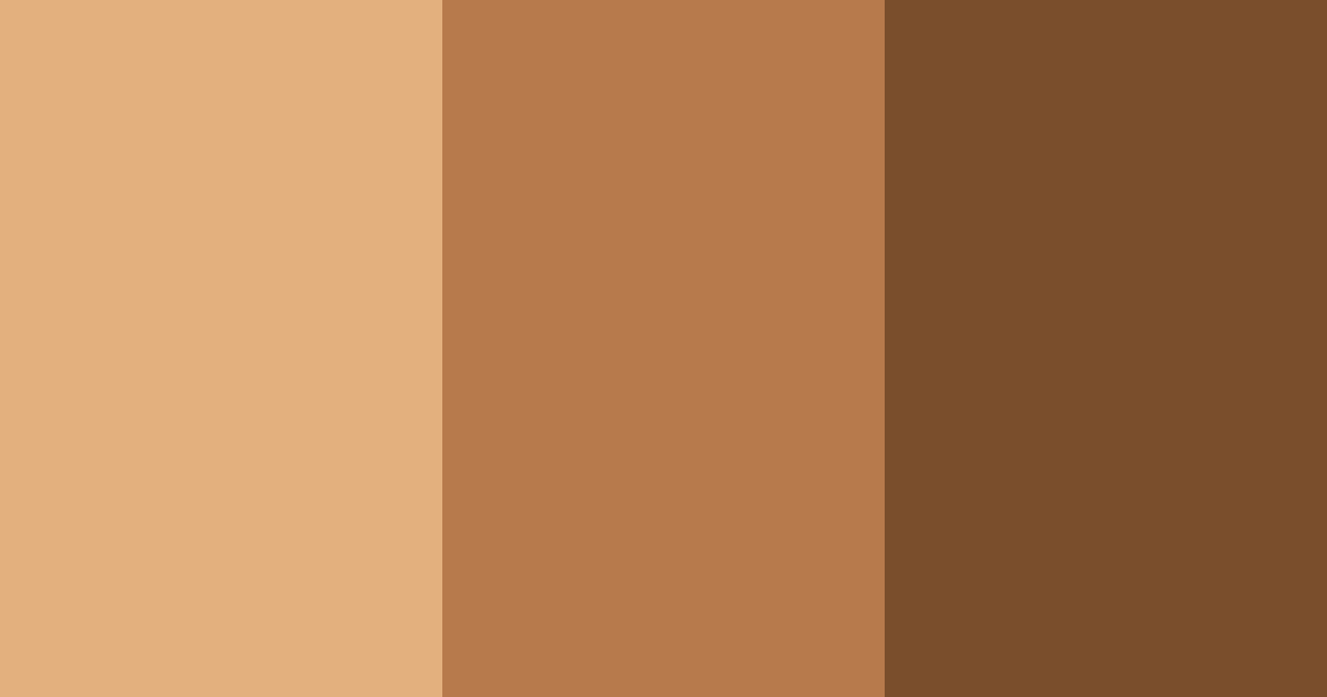 Download earthy brown color palette PNG image (landscape)