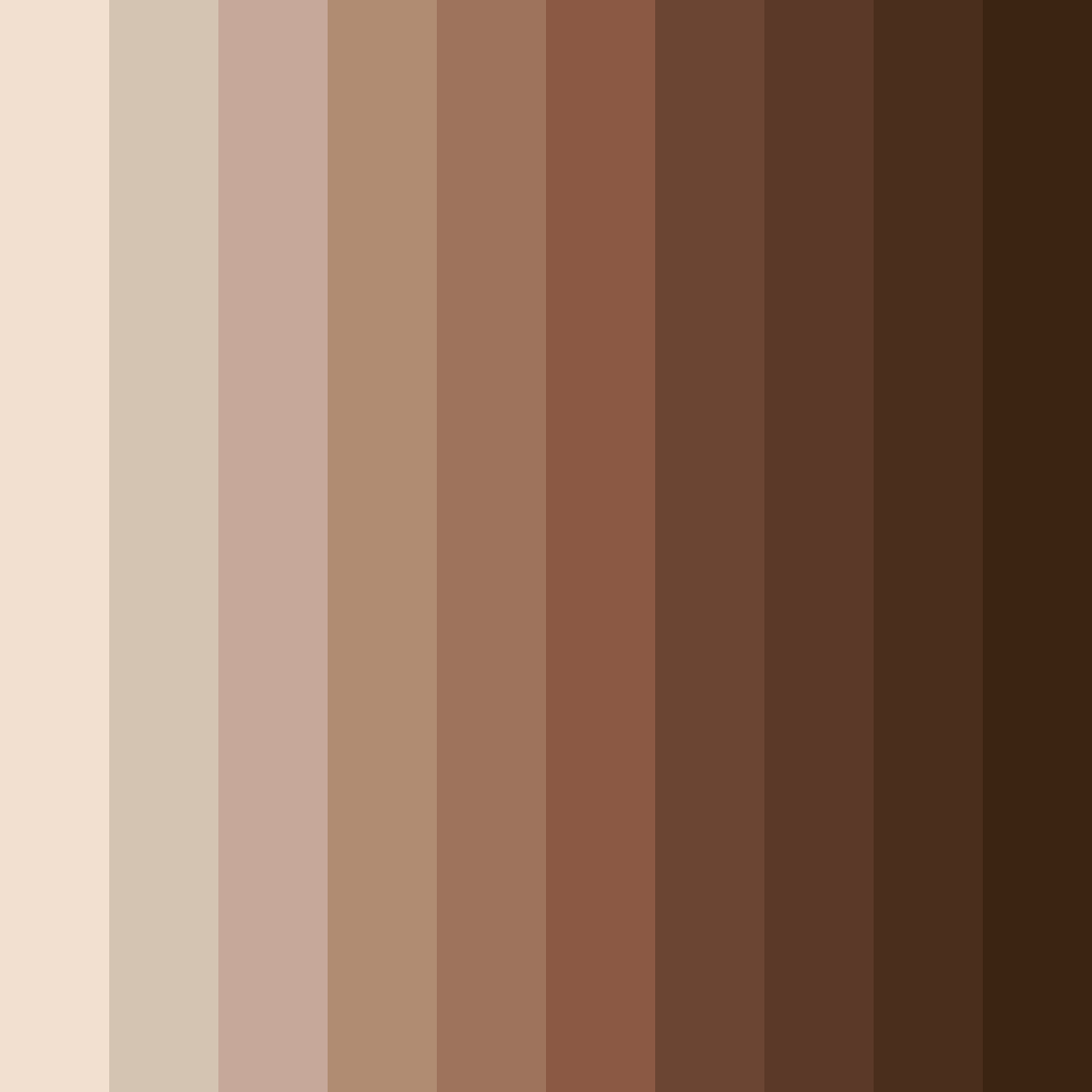 Download brown shiitake color palette PNG image (square)
