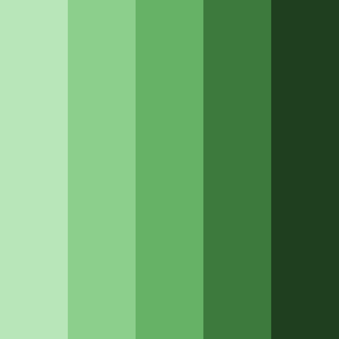 Download emerald grove color palette PNG image (square)