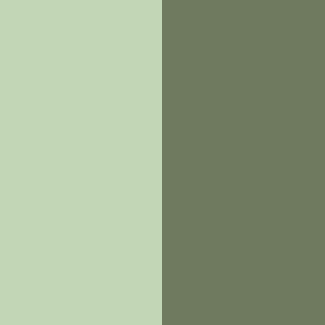 Download whispering meadows color palette PNG image (square)