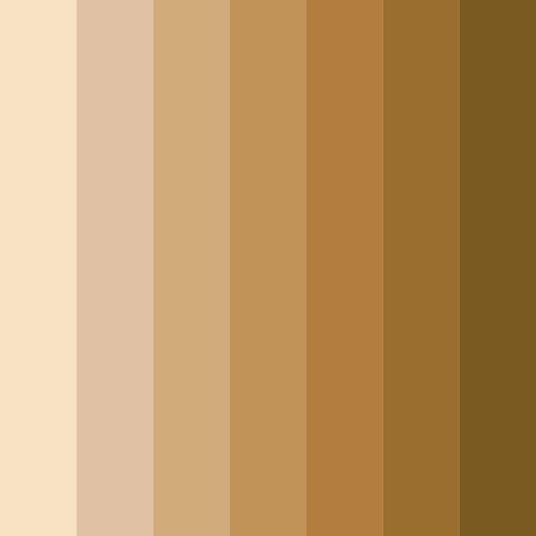 Download sandy brown color palette PNG image (square)