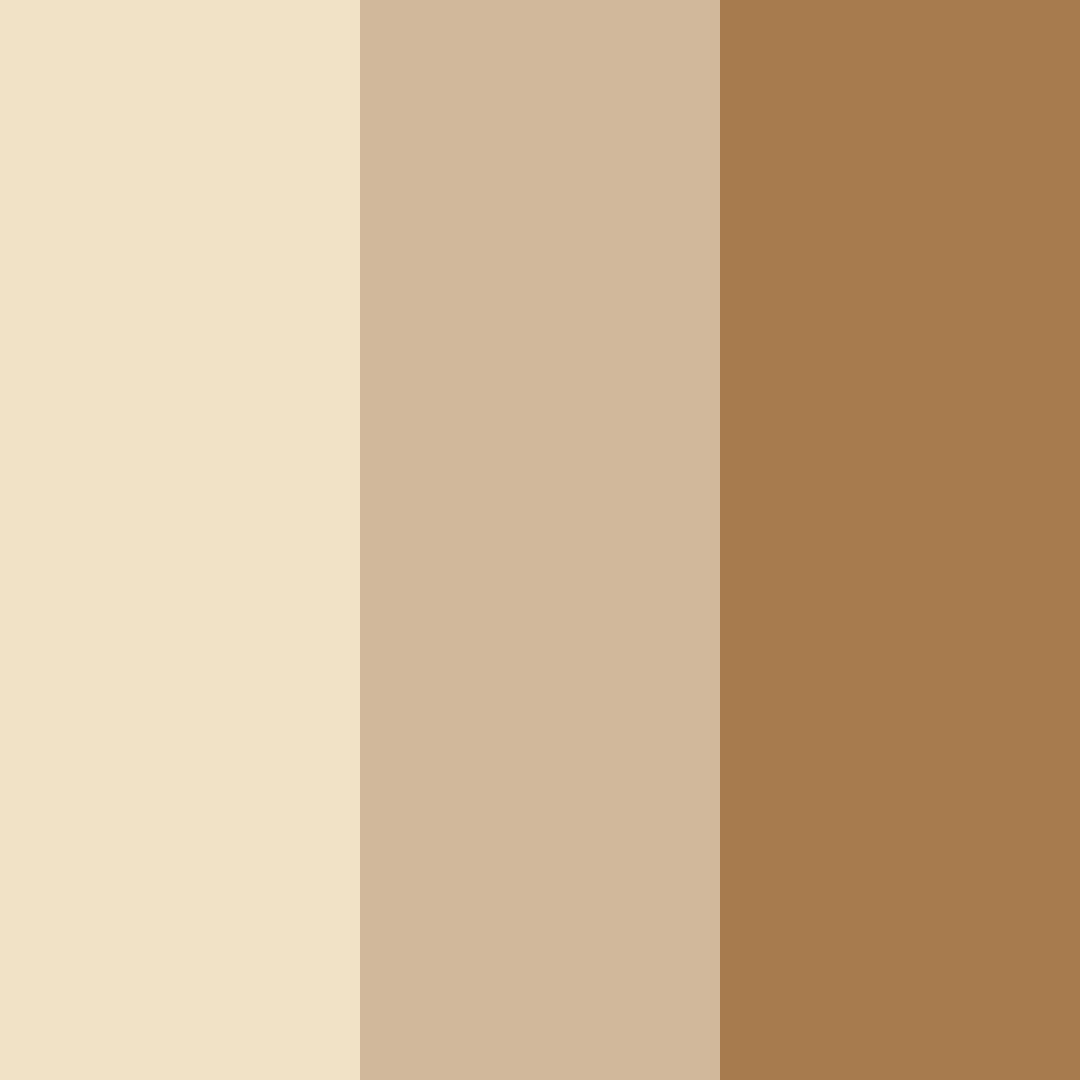 Download muted sand beige color palette PNG image (square)