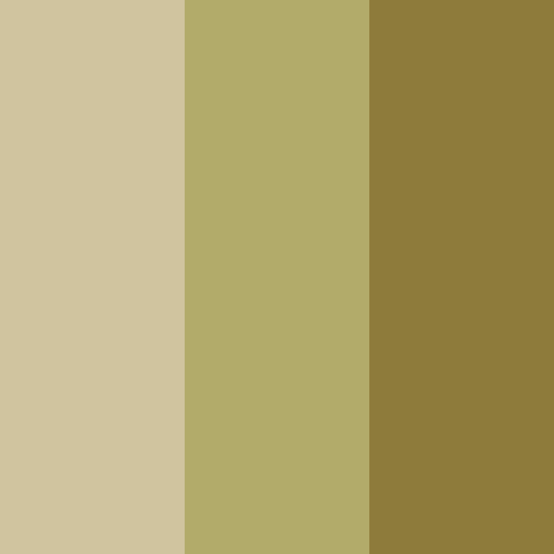 Download khaki tones color palette PNG image (square)