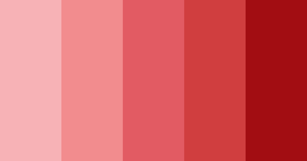 Download red shades color palette PNG image (landscape)