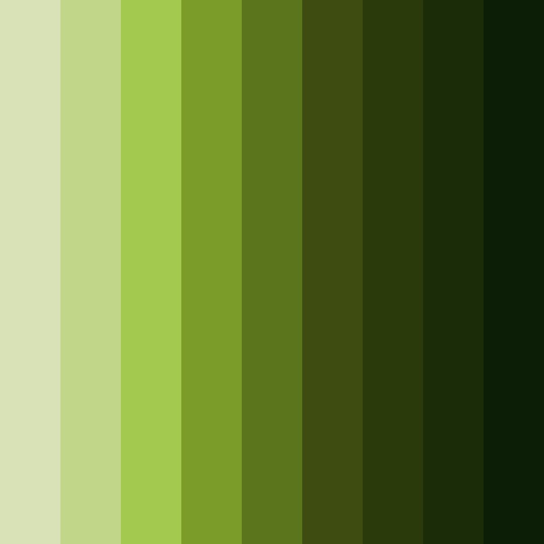 Download verdant whisper color palette PNG image (square)