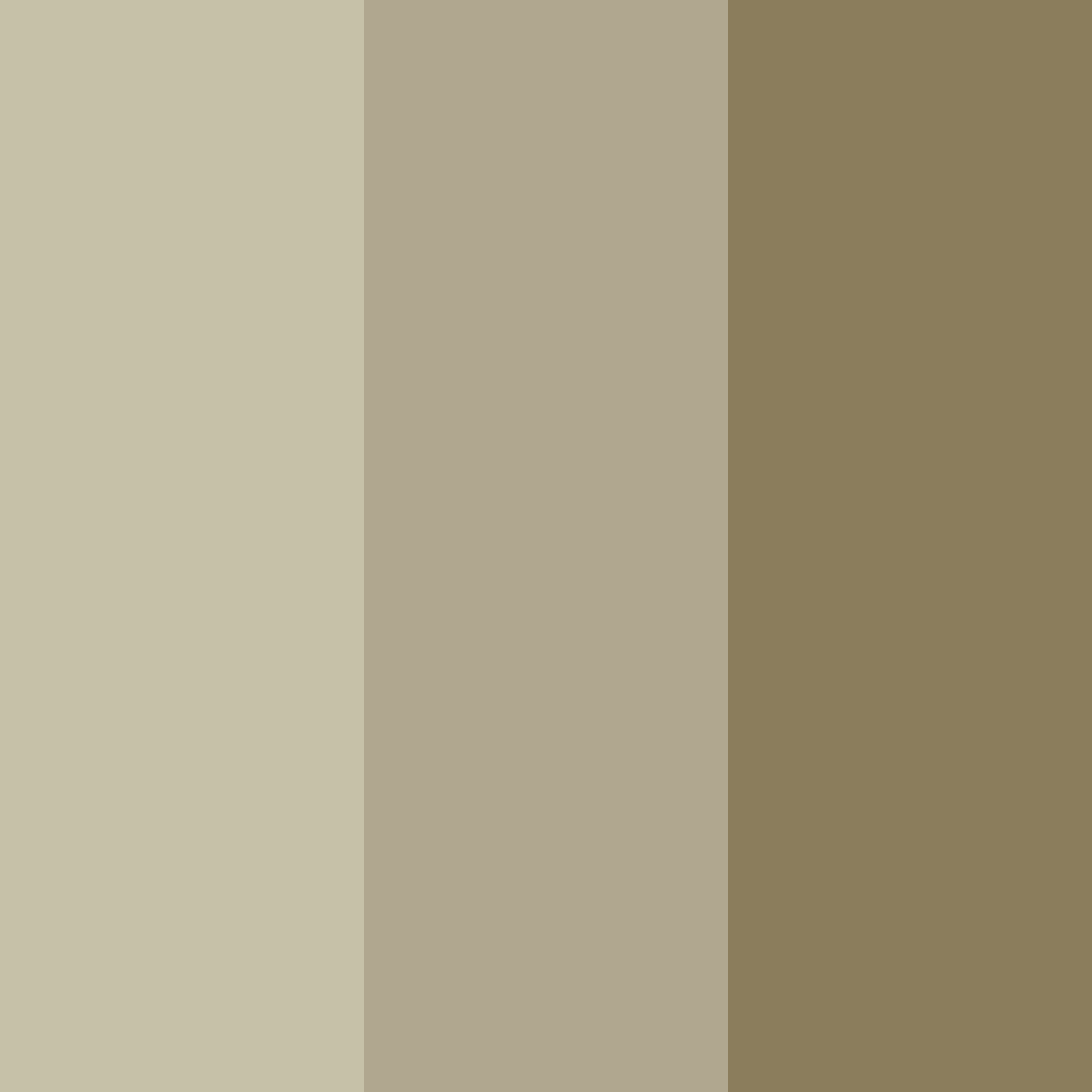 Download shades of brown color palette PNG image (square)