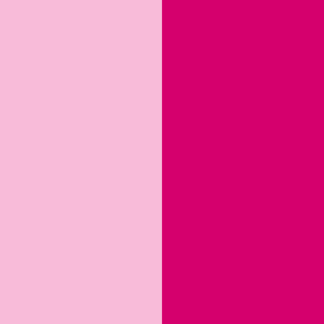 Download blush and raspberry dreams color palette PNG image (square)