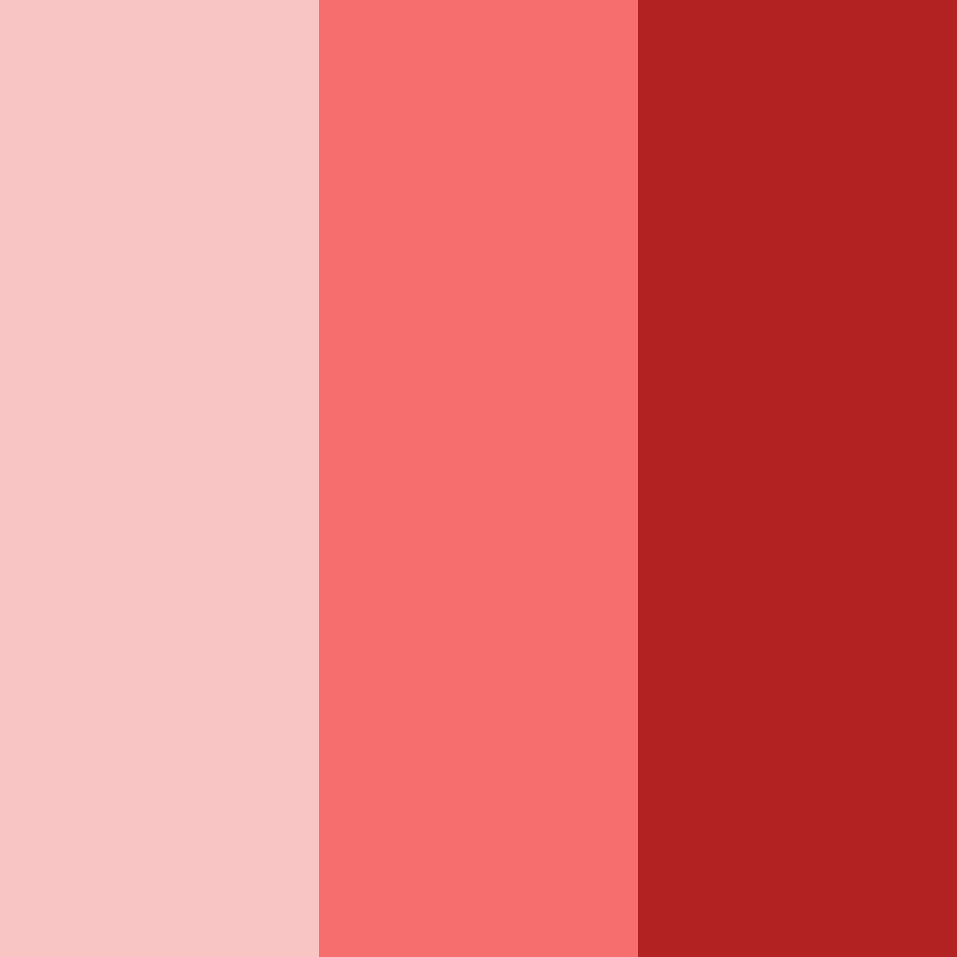 Download crimson blossoms color palette PNG image (square)