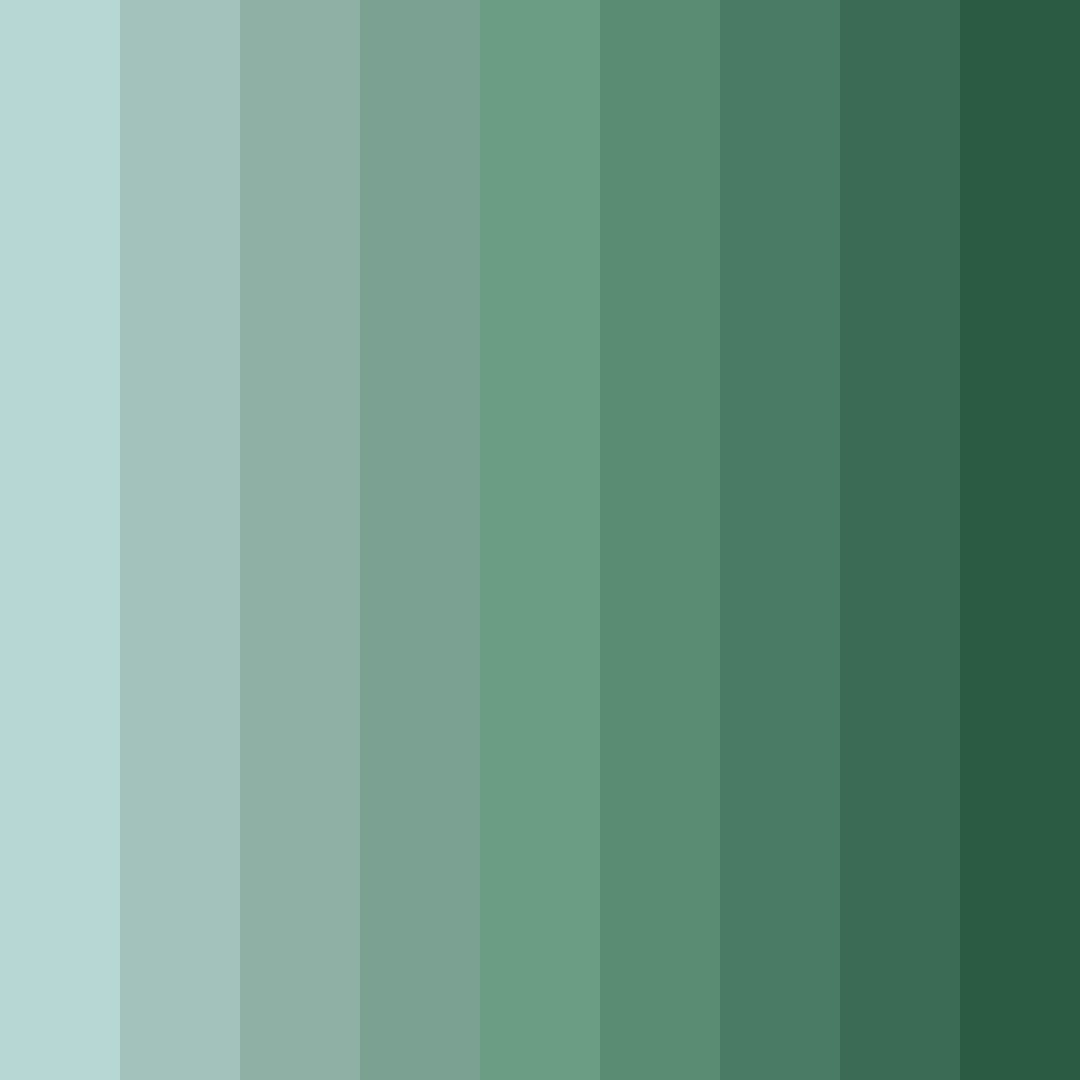 Download serene forest whisper color palette PNG image (square)