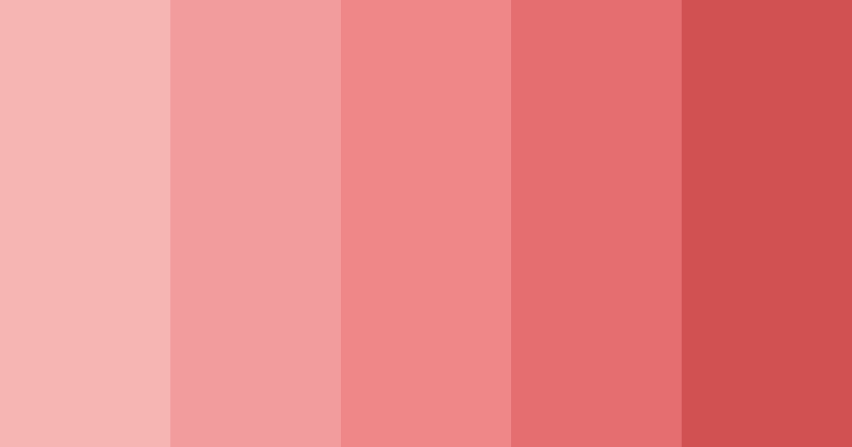 Download muted red color palette PNG image (landscape)