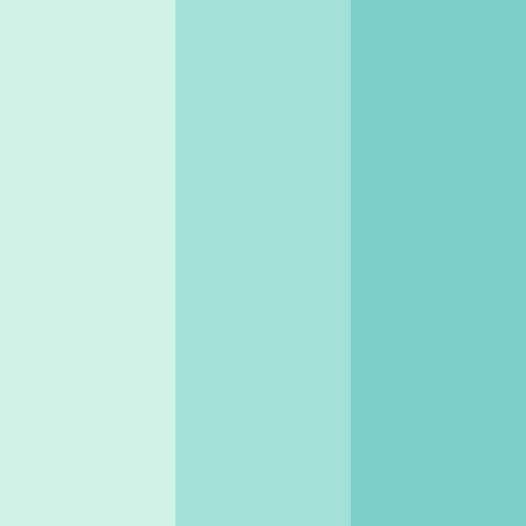 Download serene shoreline color palette PNG image (square)