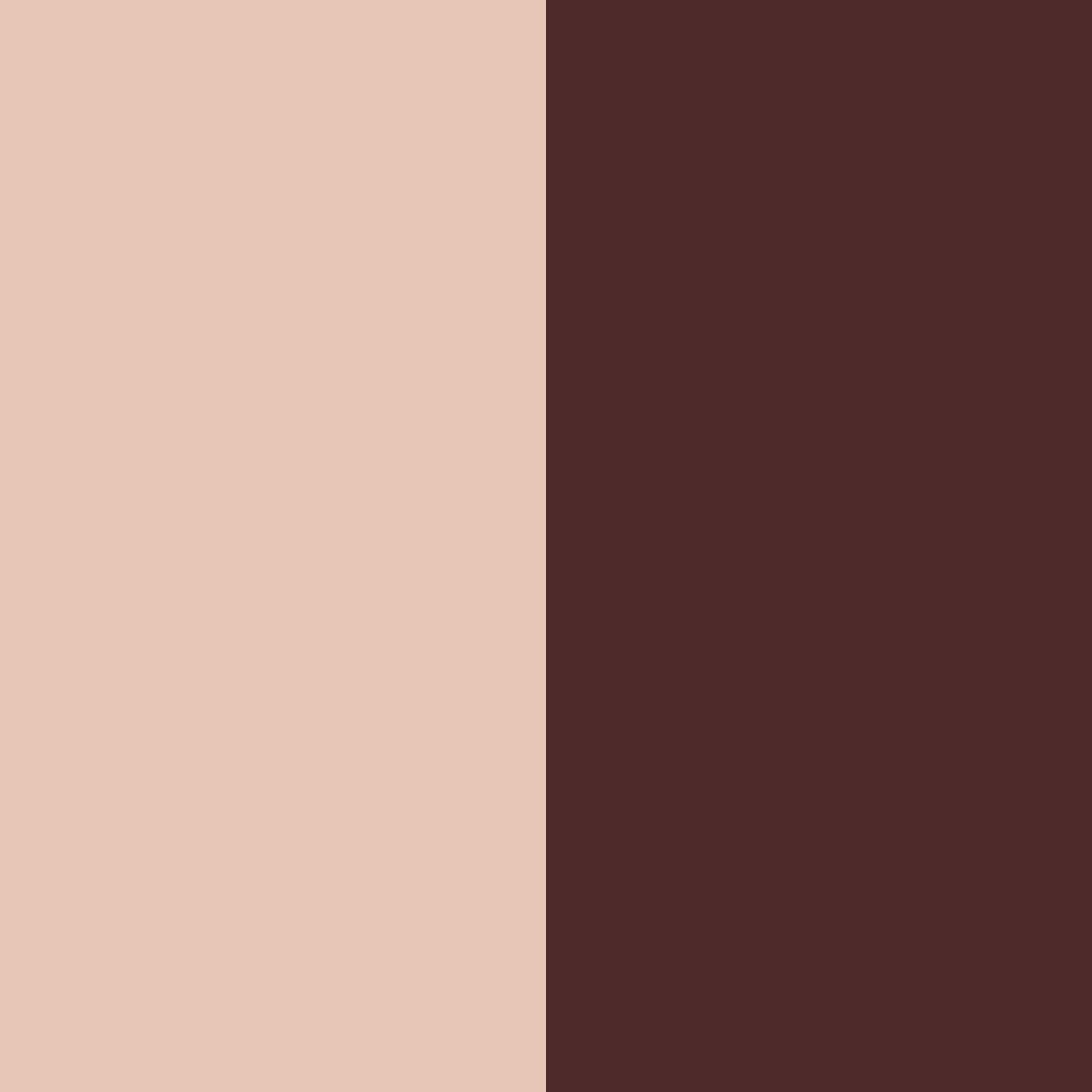 Download whispers of rustic rose color palette PNG image (square)