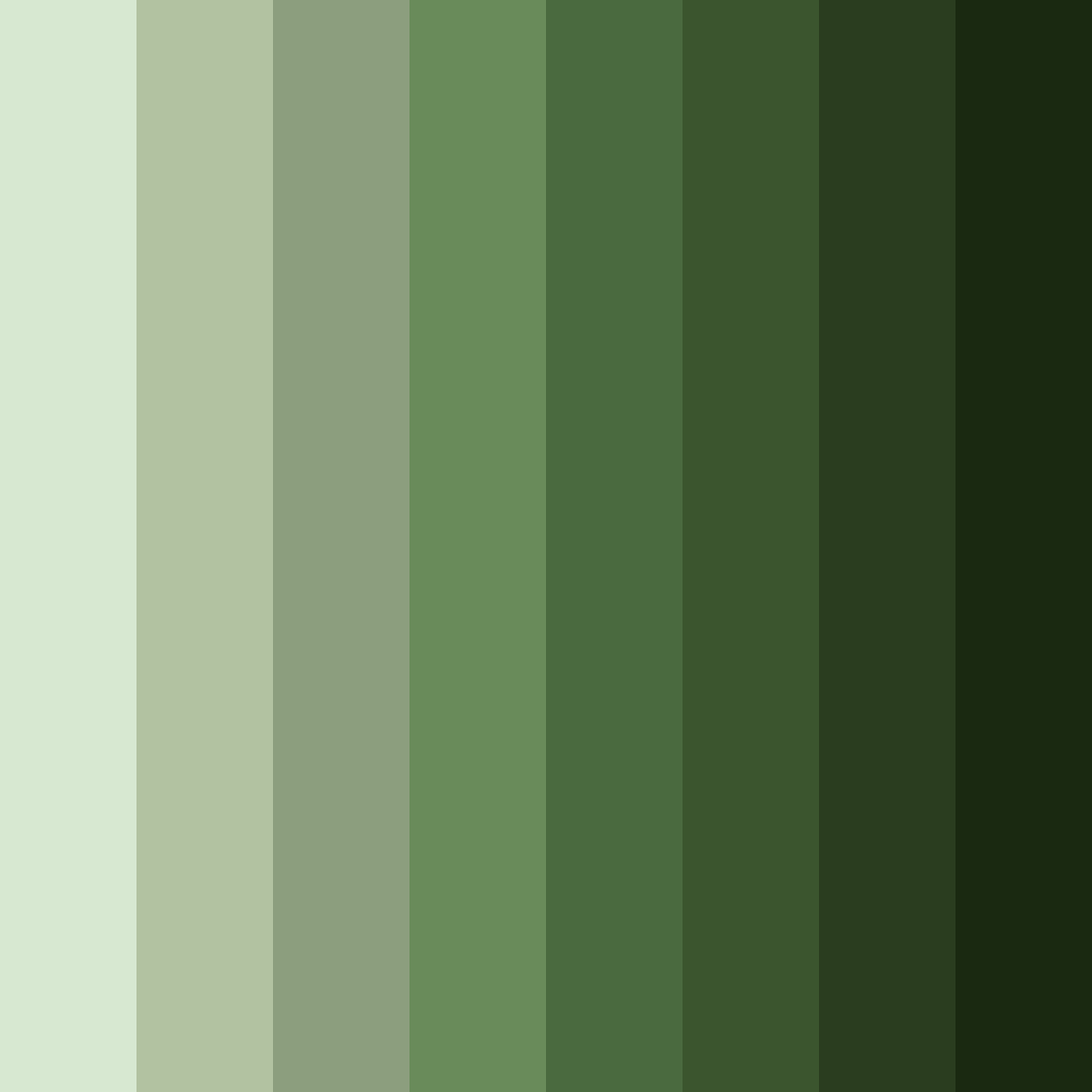 Download whispers of the fern color palette PNG image (square)