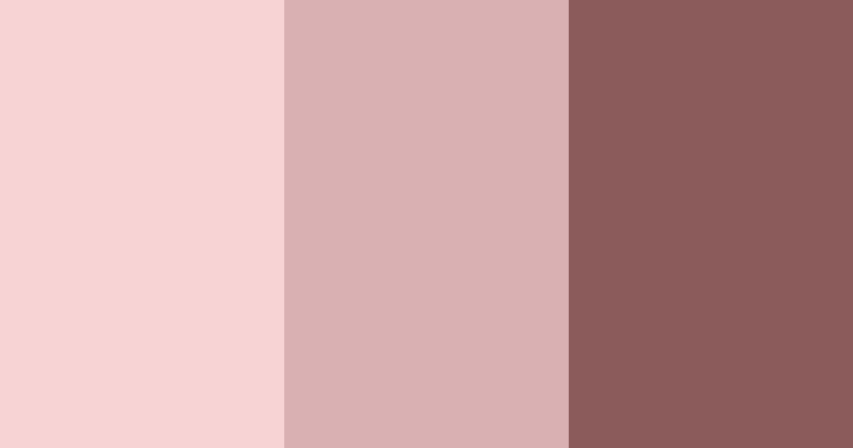 Download blush & cocoa dream color palette PNG image (landscape)
