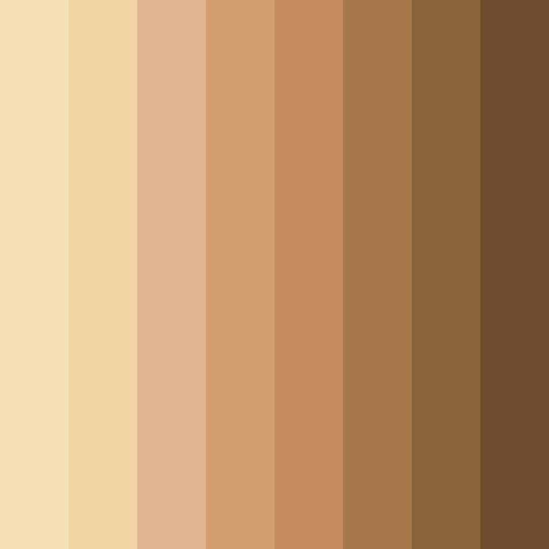 Download sunlit earthtones color palette PNG image (square)
