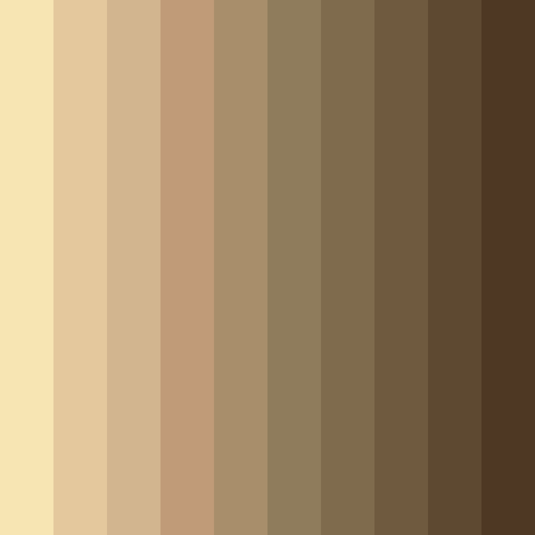 Download beige beach color palette PNG image (square)