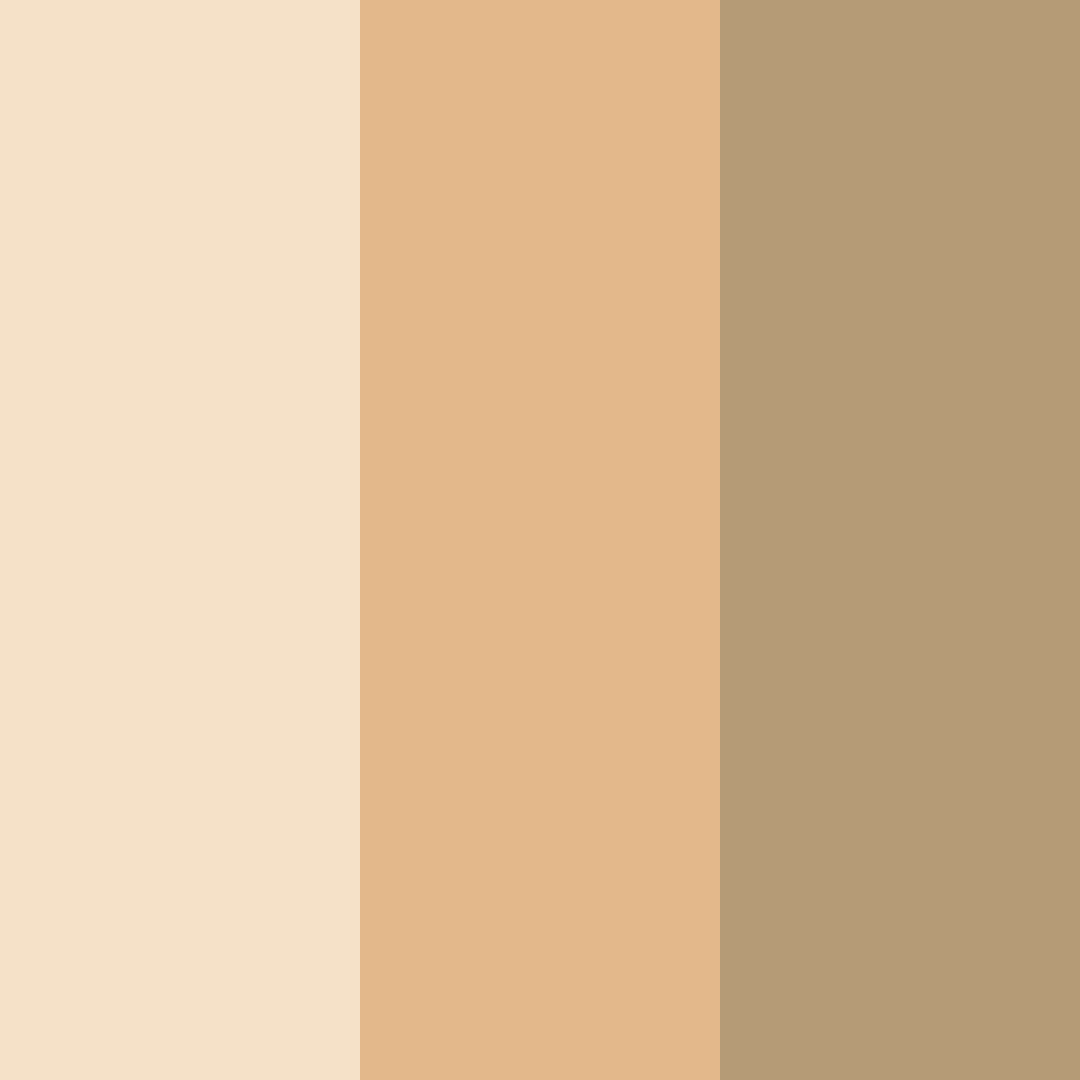 Download sandy whisper color palette PNG image (square)