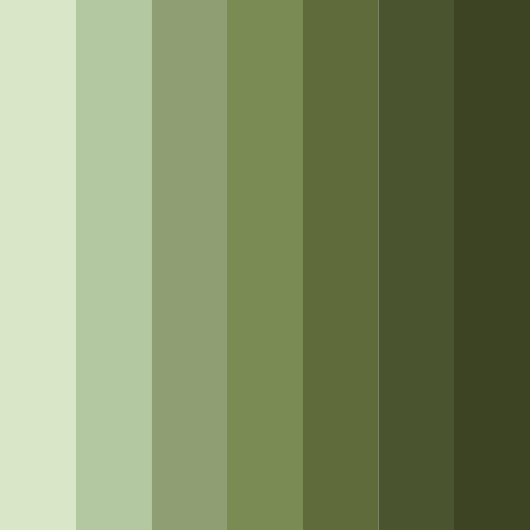 Download woodland whisper color palette PNG image (square)