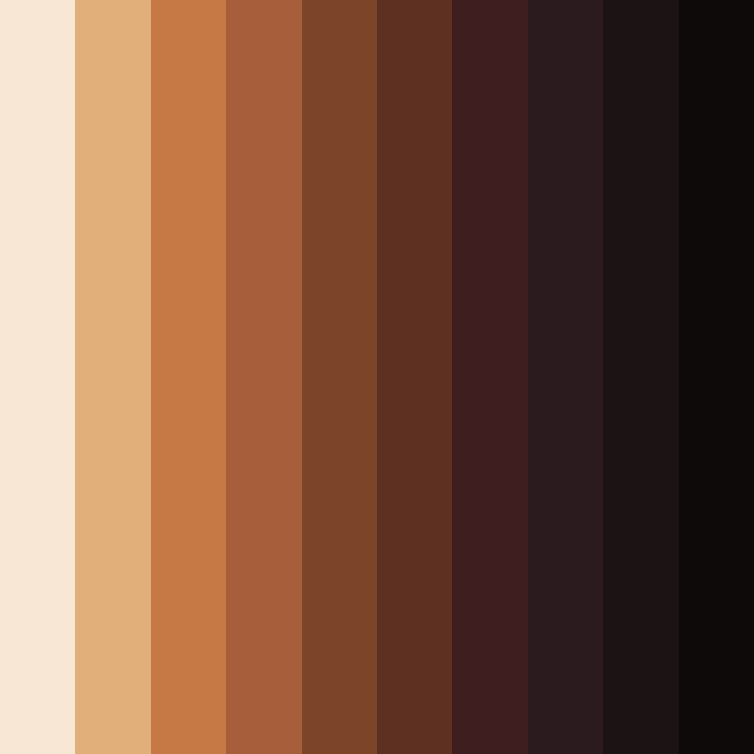 Download chocolate brown color palette PNG image (square)