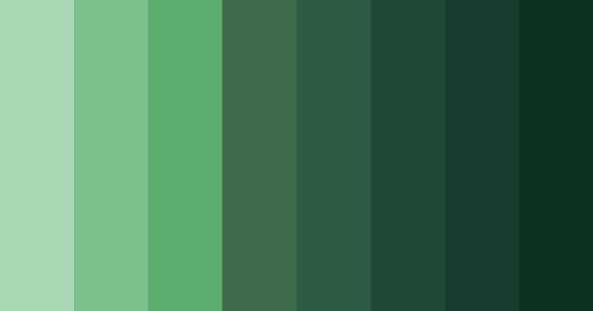 Download forest embrace color palette PNG image (landscape)