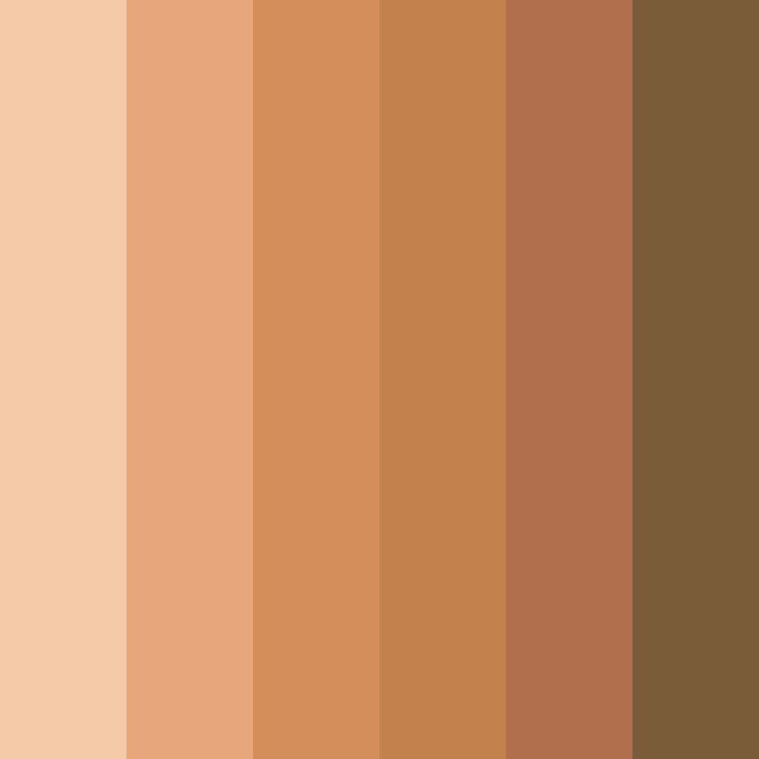 Download warm terracotta color palette PNG image (square)