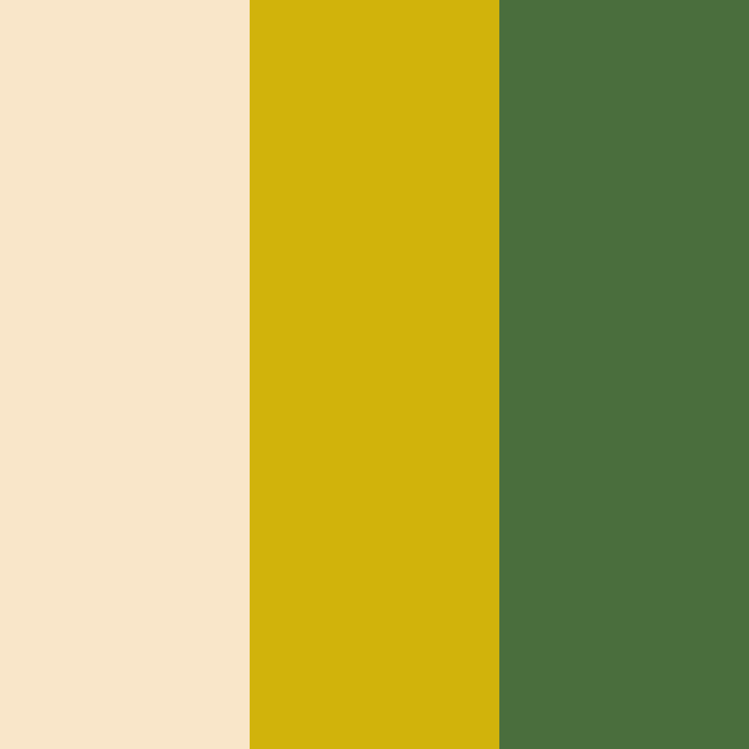 Download creamy gold green color palette PNG image (square)