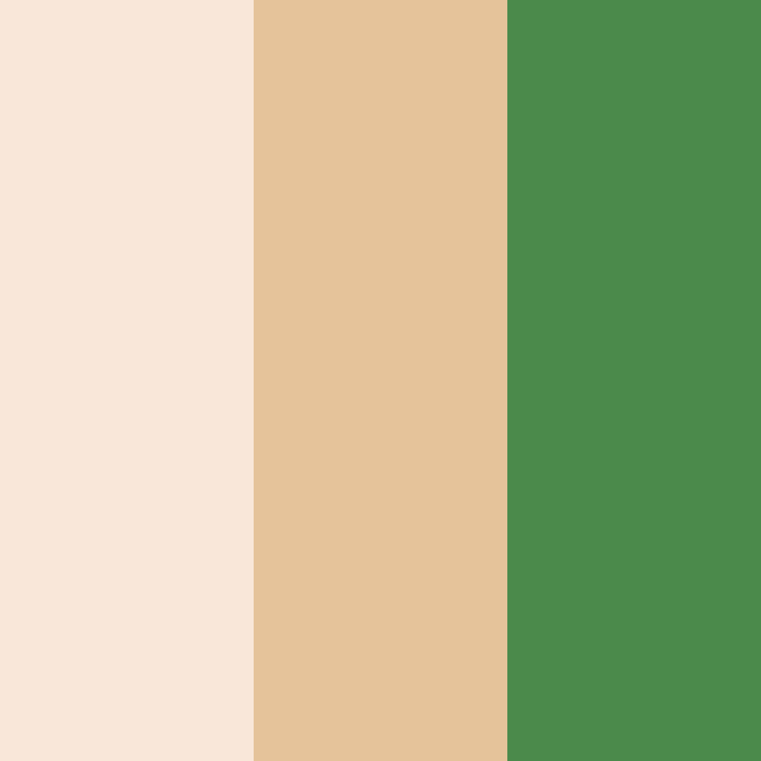 Download golden cream grove color palette PNG image (square)