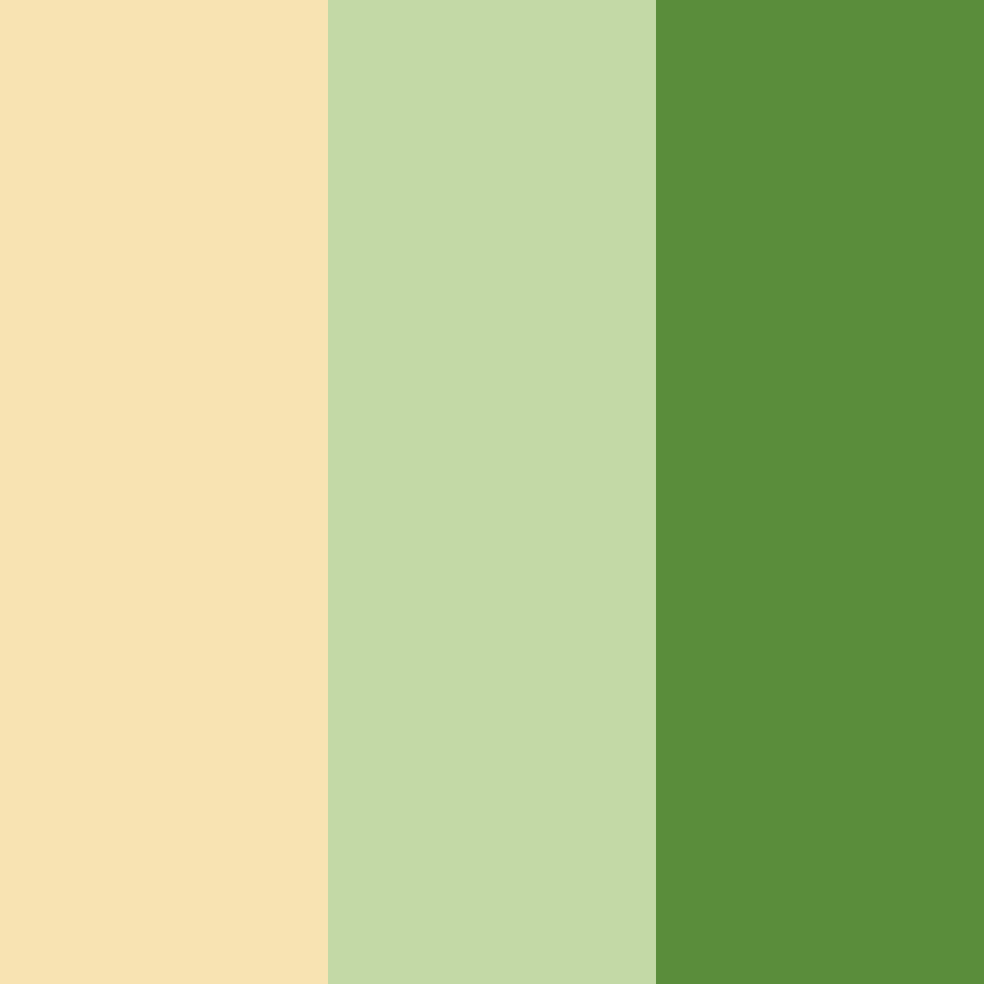 Download golden cream garden color palette PNG image (square)