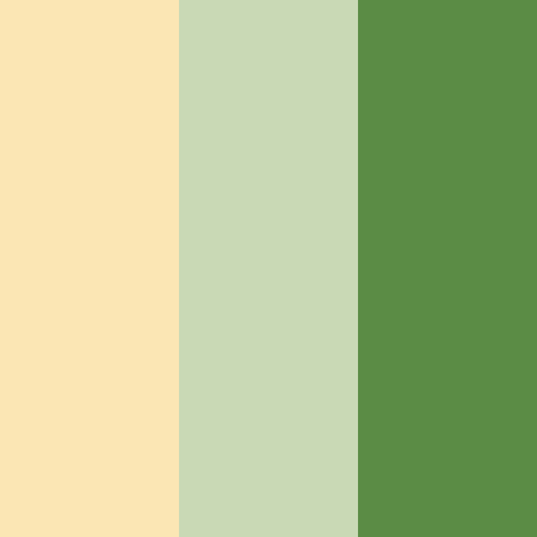 Download creamy green color palette PNG image (square)