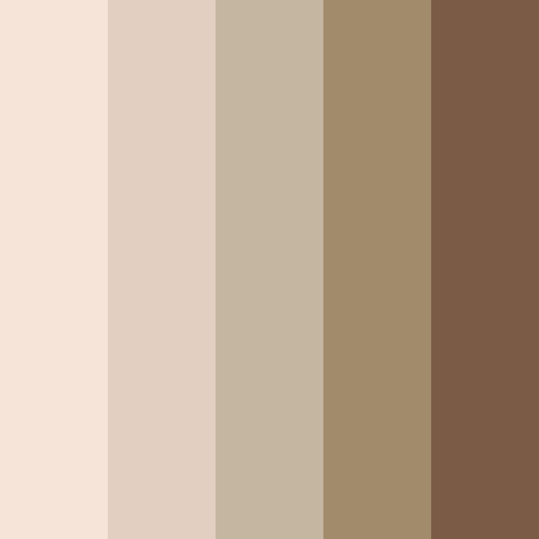 Download warm beige color palette PNG image (square)
