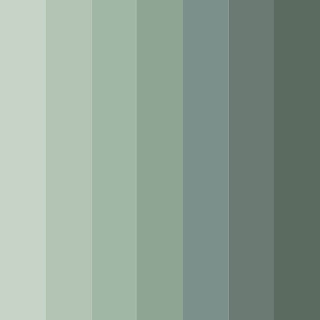 Download whispering forest color palette PNG image (square)