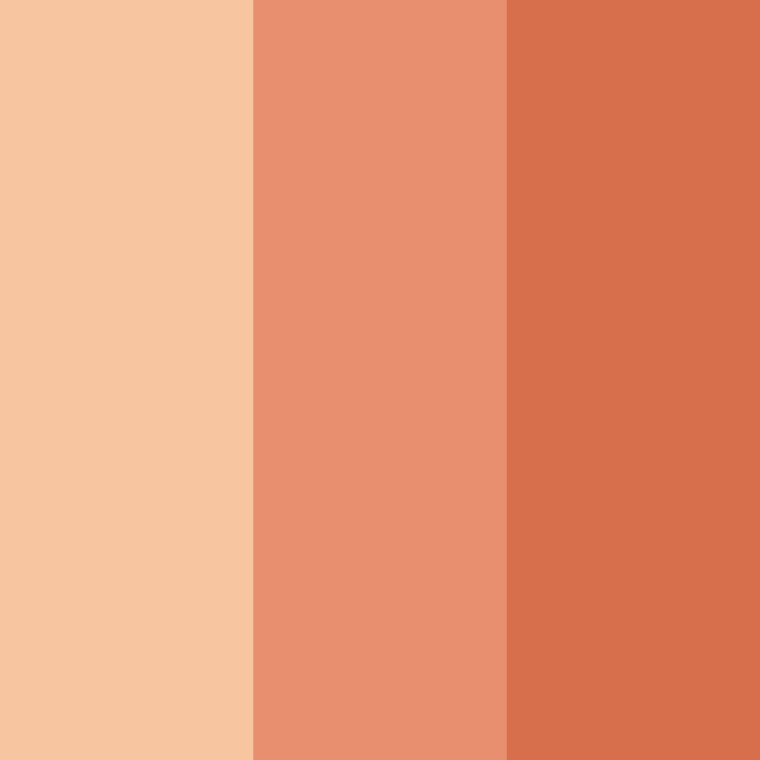 Download peachy orange color palette PNG image (square)